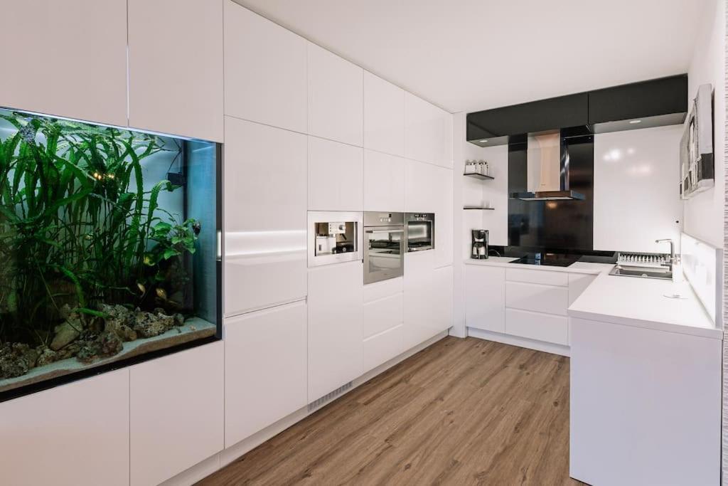 Ferienwohnung Family Aquarium Haven Pressburg Exterior foto